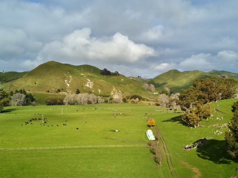 South Highway 38, Wairoa Country, Wairoa, 0 Schlafzimmer, 0 Badezimmer