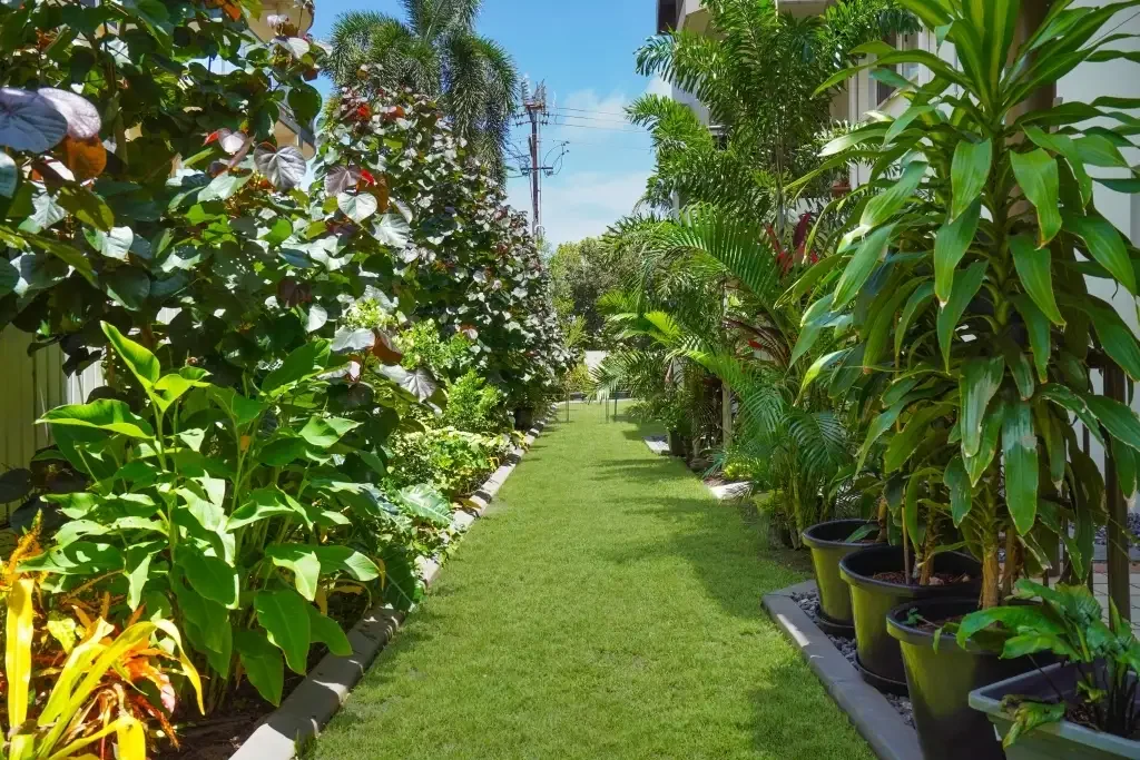 Larrakeyah 3房  Private and Secluded - Situated on 494m2