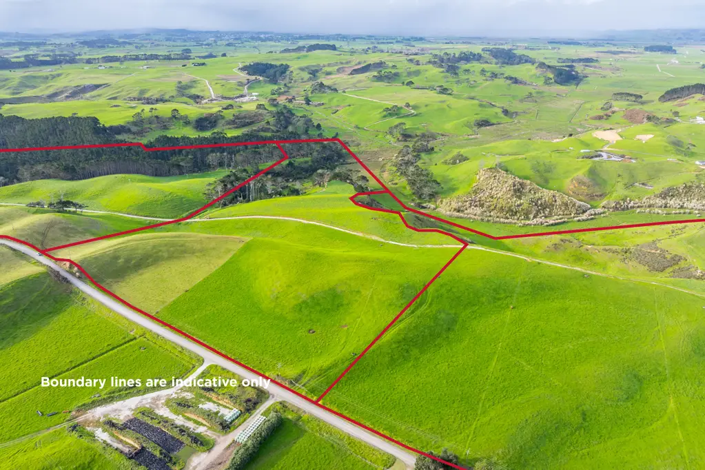 Dargaville Graze, build or landbank on Mahuta Road