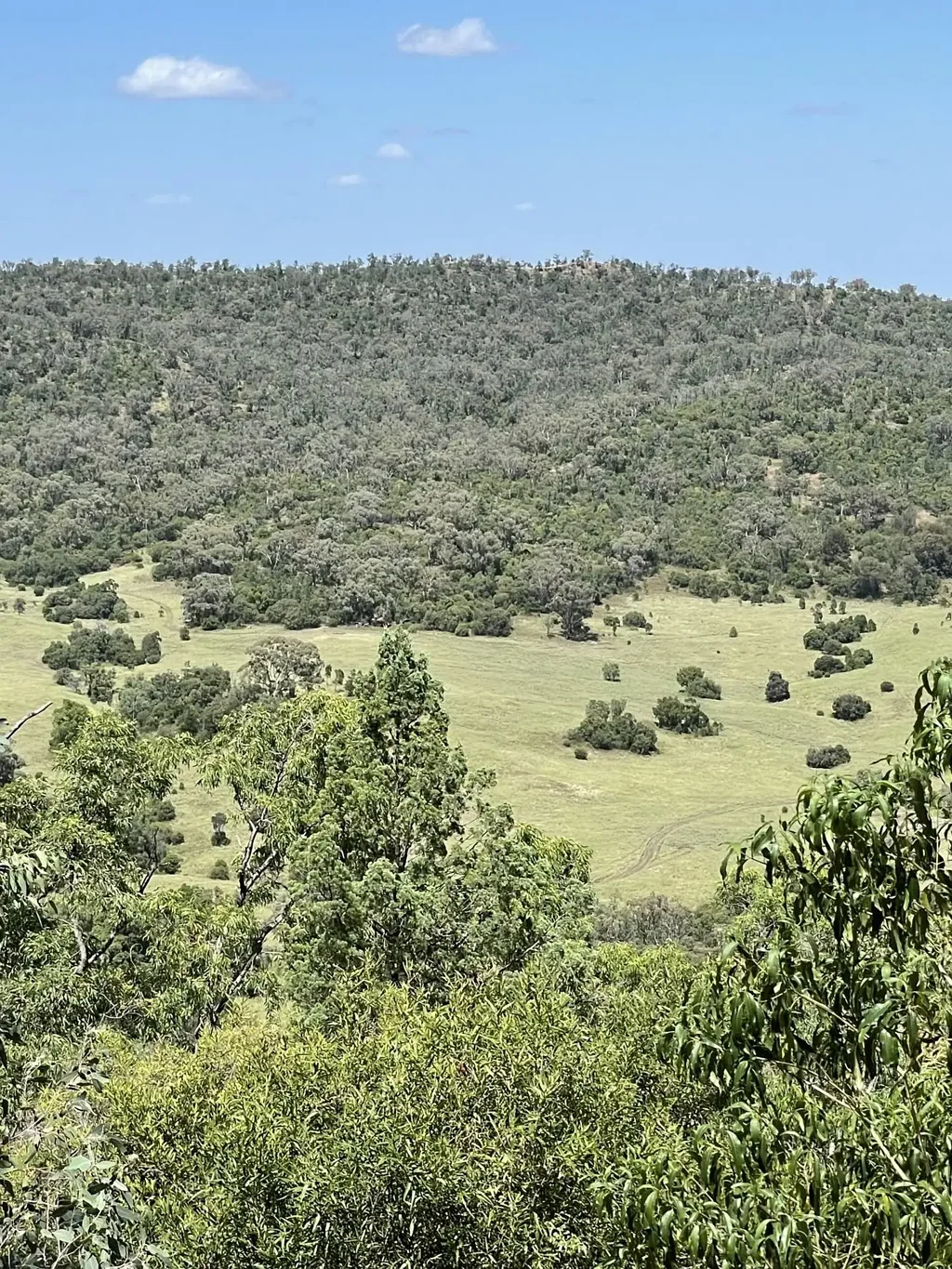 Warrumbungle 3房  1444 H.A Warrumbungle biodiversity and grazing.