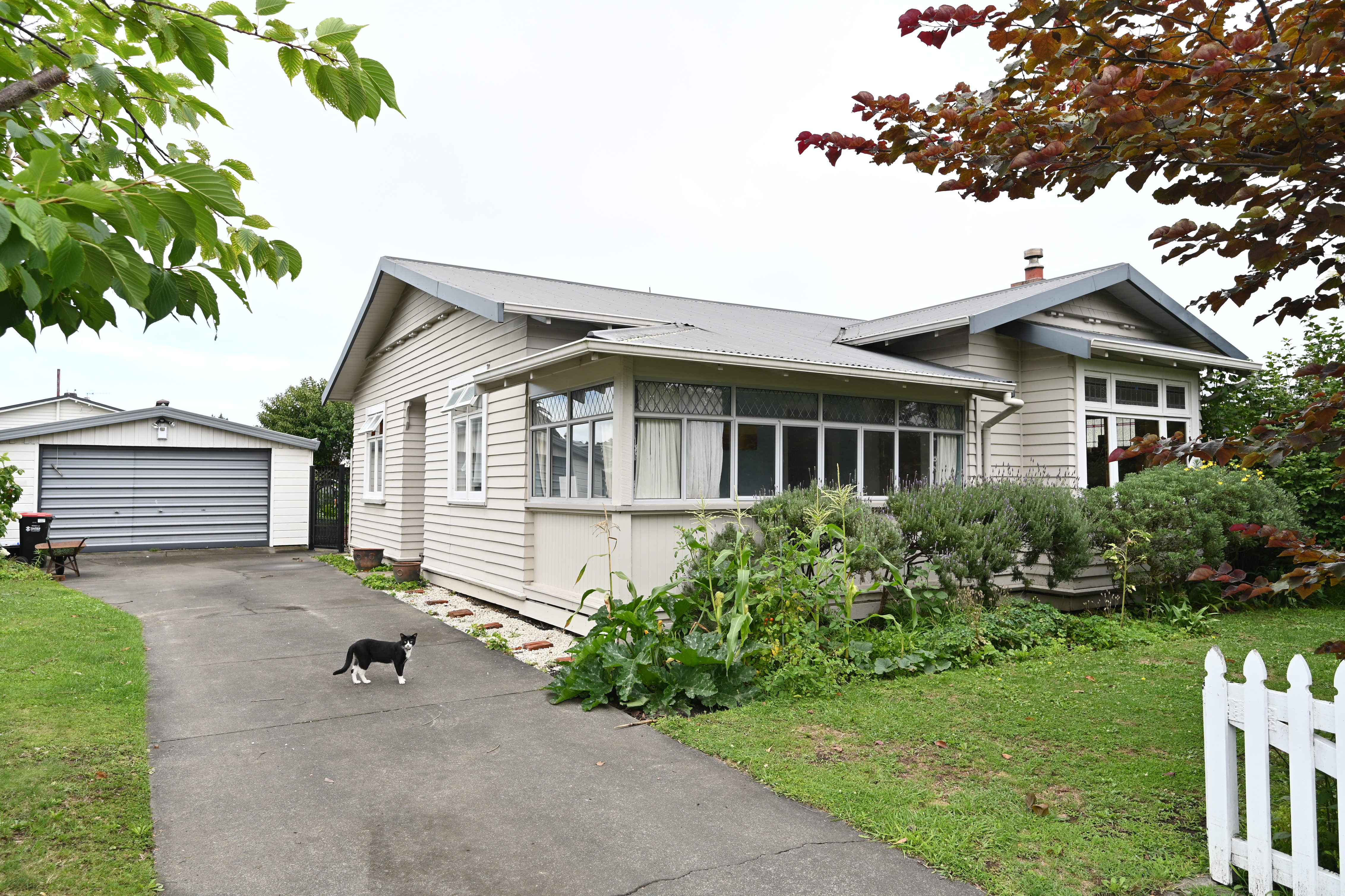 3 Griffin Street, Marewa, Napier, 2 રૂમ, 0 બાથરૂમ, House