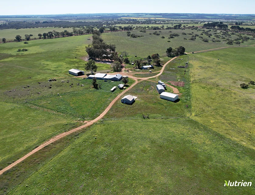 2898 & 3178 Gillingarra Road, Mogumber, Wheat Belt, 6房, 3浴, Lifestyle Property
