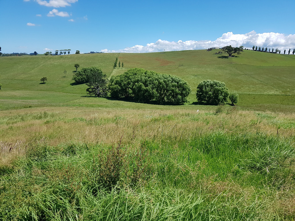 Petley Road, Paparoa, Kaipara, 0 침실, 1 욕실