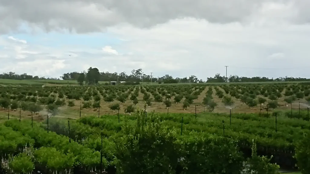 Gregory River 4Zimmer 2 Incomes on one property, 2000 trees in orchard + a nursery with room for 16,000 trees all set up with own irrigation with a 2 Story 4 brm brick hom