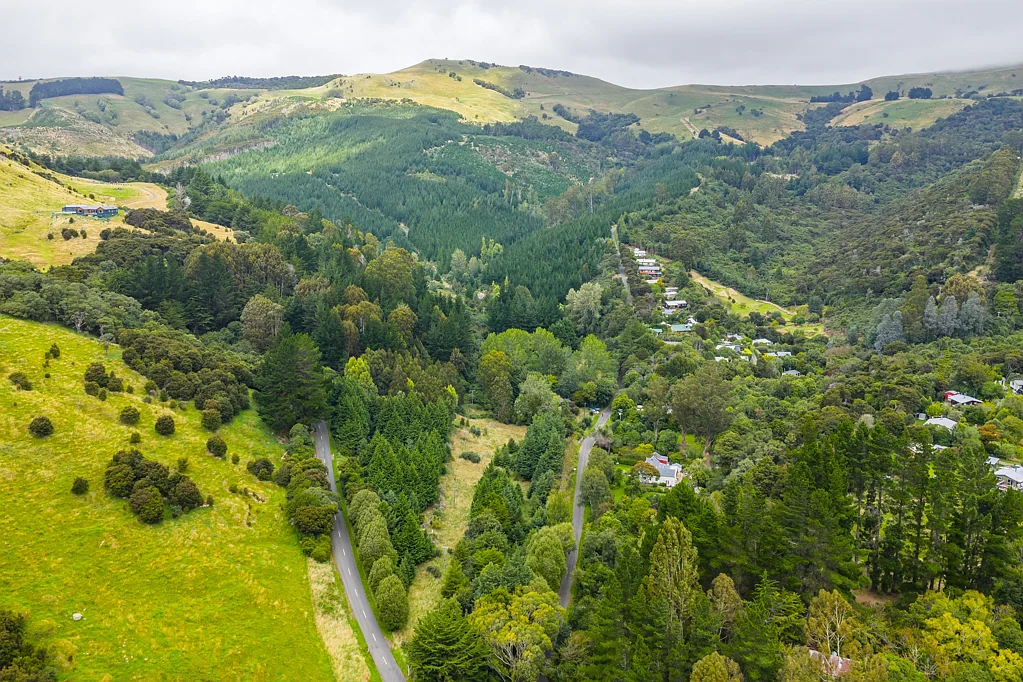 Pigeon Bay From forest to future - A platform for prosperity