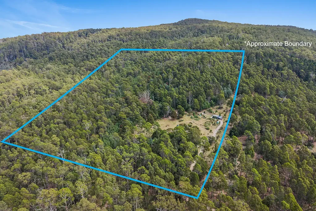 221A Ginns Road, Birralee, TAS 7303