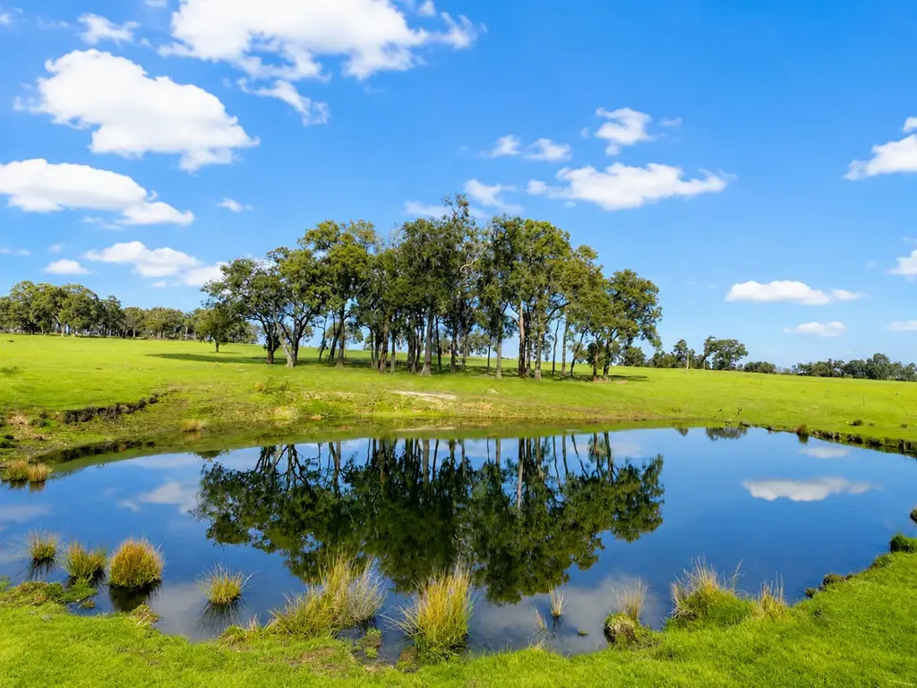 Meelon 4房  100 Acres of Rural Paradise