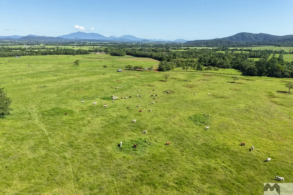 Bombeeta  103 ACRE RURAL HOLDING
