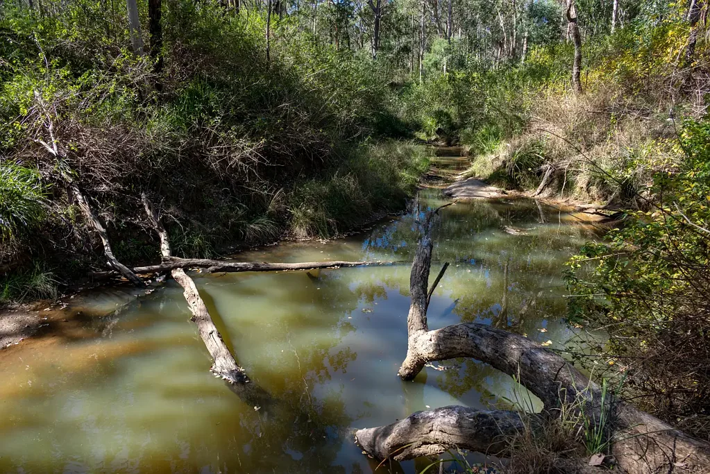 Taromeo Rare 1351.17 acres Prime Land for Sale in Blackbutt QLD
