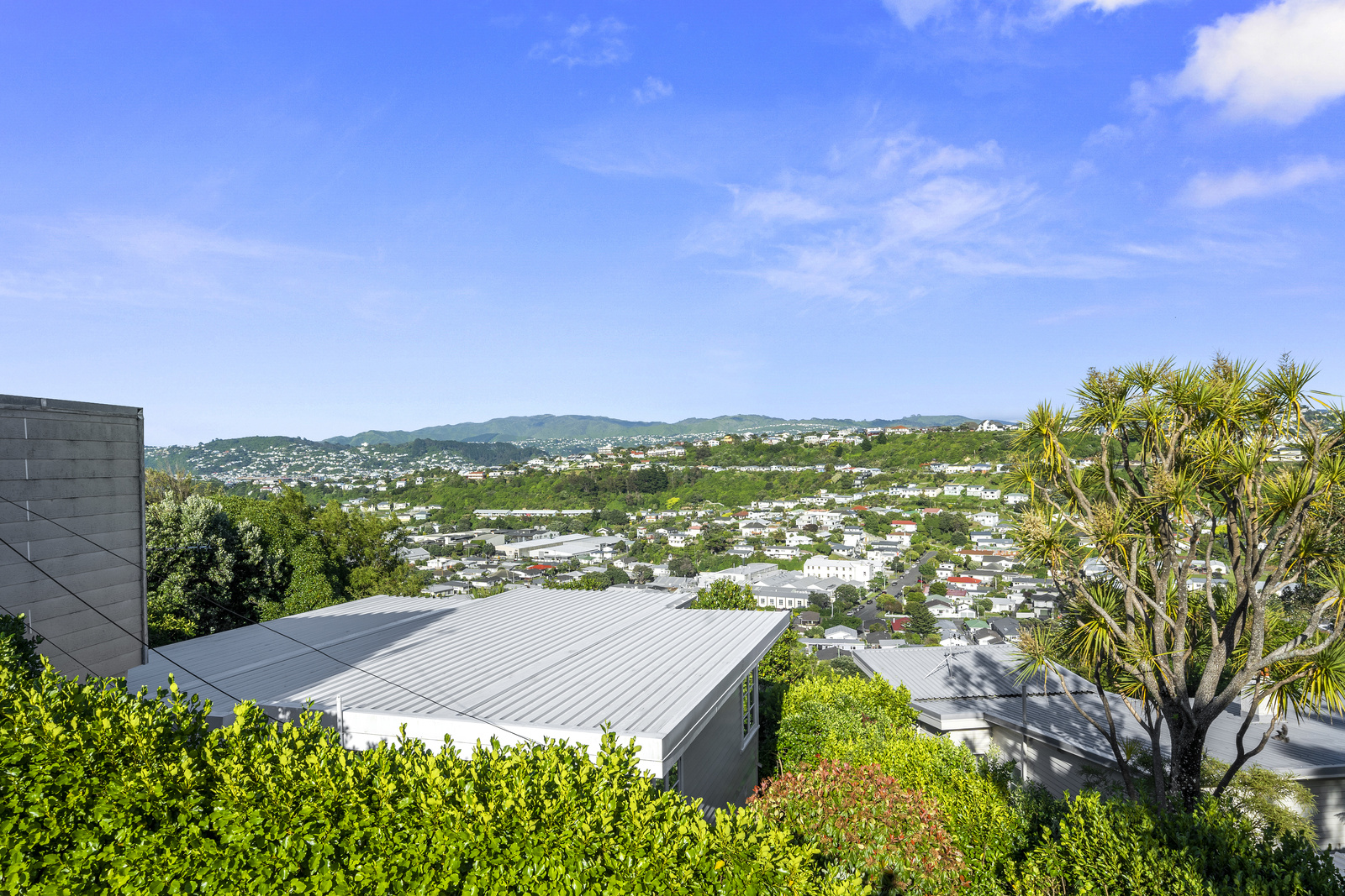 91 Nevay Road, Miramar, Wellington, 4 rūma, 0 rūma horoi, Home & Income