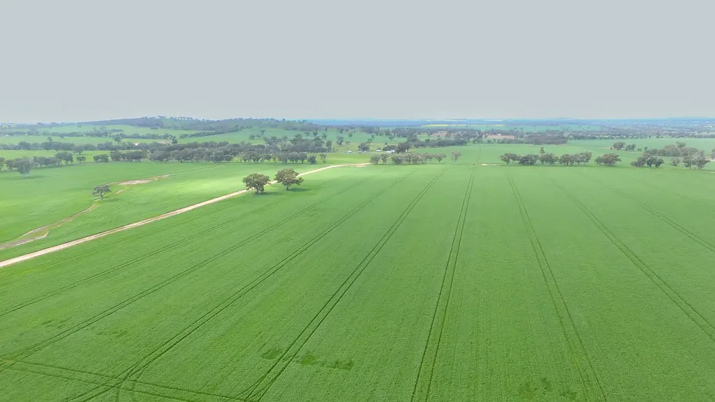 Henty Productive Opportunity