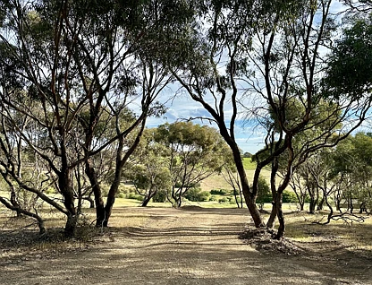 Lot 201 Upper Penneys Hill Road, Onkaparinga Hills, Southern Adelaide, 0 Kuwarto, 0 Banyo, Lifestyle Property