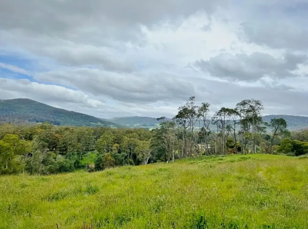 Weldborough 15.5 acres of Land with Sunny Aspect, fresh air and Stunning Mountain Views