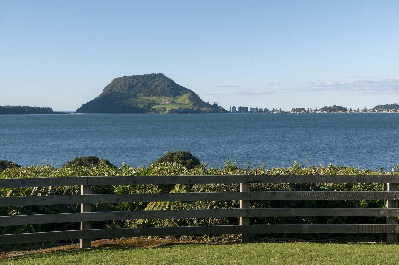 35 Cooneys Drive, Matua, Tauranga, 4 침실, 0 욕실