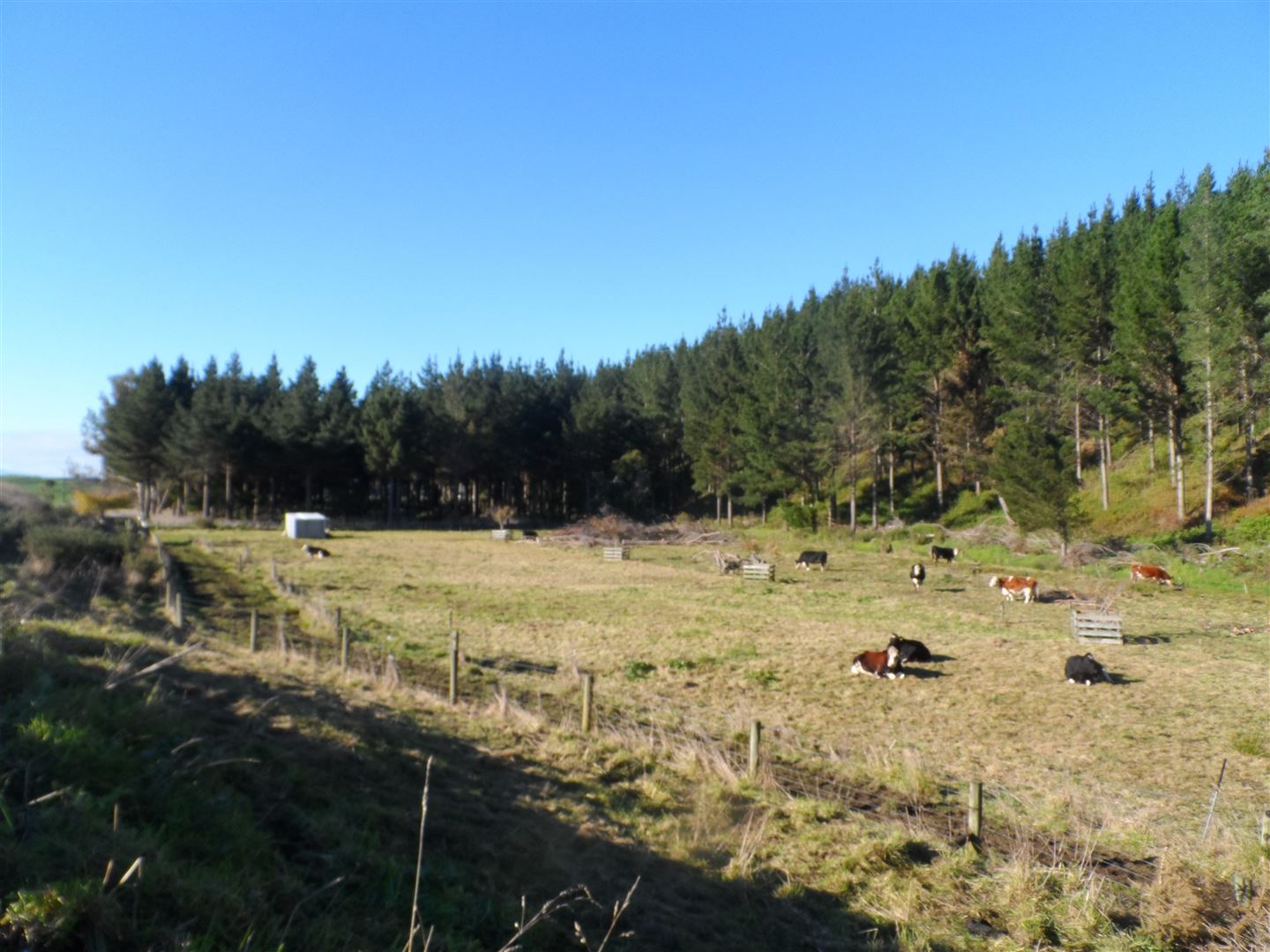 Brandon Hall Road, Bulls, Rangitikei, 0 rūma, 0 rūma horoi