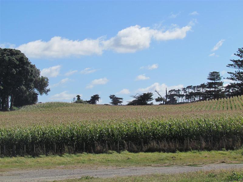 Kakaramea Road, Patea, South Taranaki, 0 phòng ngủ, 0 phòng tắm