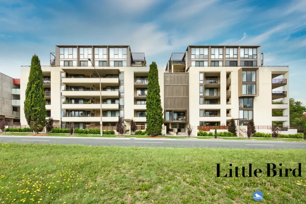 *6 Month Lease Only*