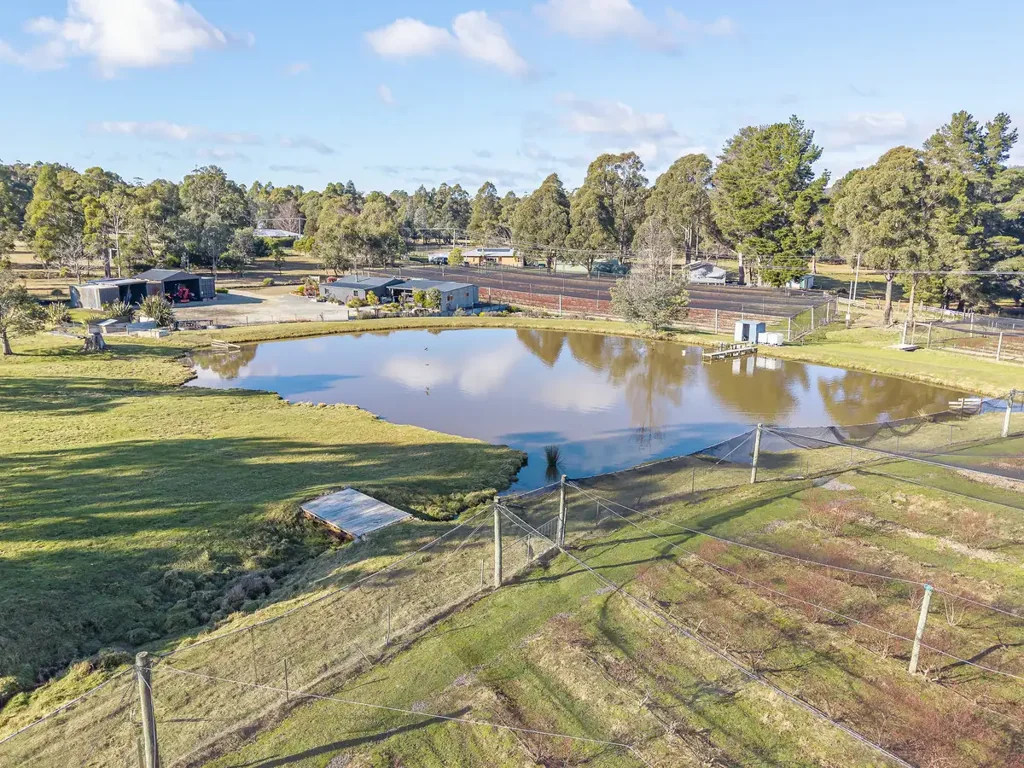 Lower Longley  Blueberry Orchard with Lifestyle Appeal