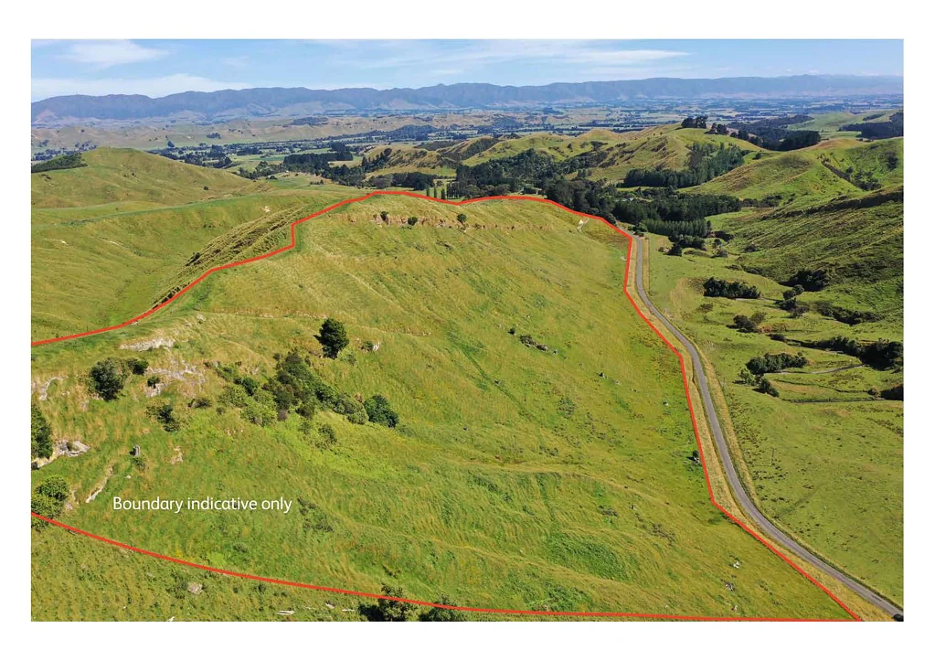 Woodville Larger lifestyle - 13 ha - No Covenants
