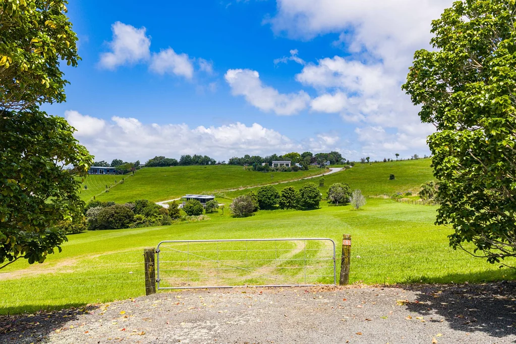 Mangawhai Heads Lifestyle land to love