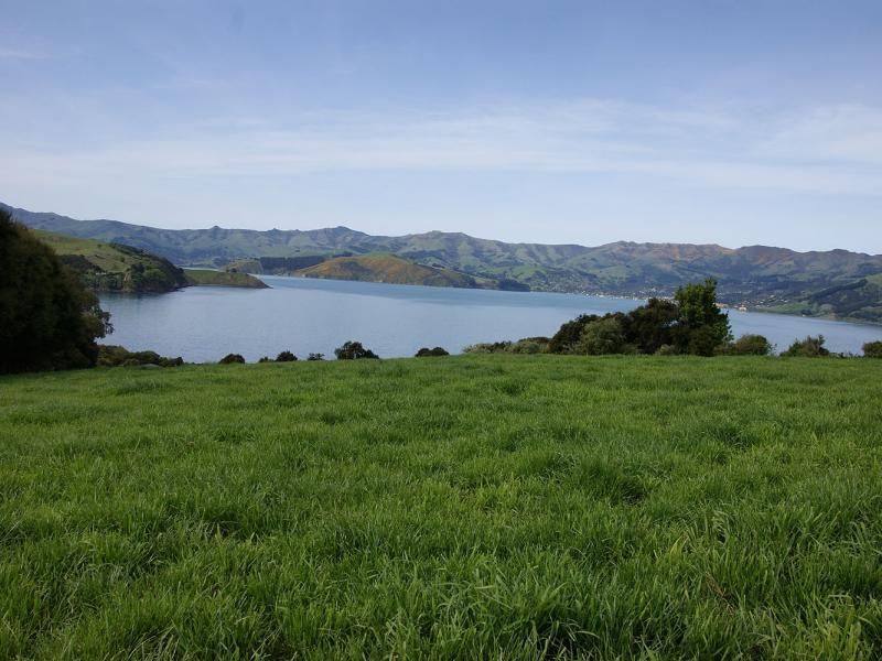 Rural Banks Peninsula