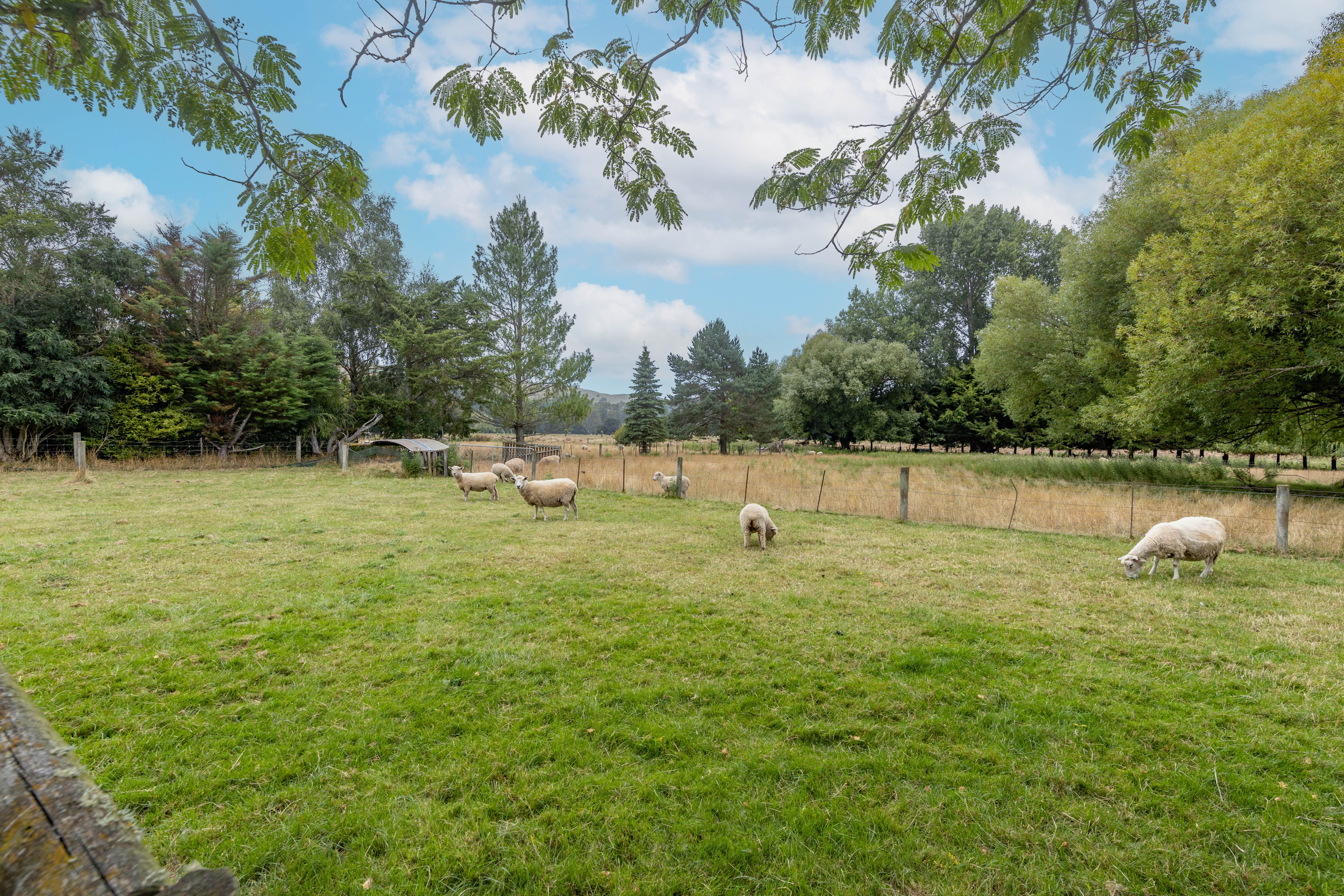 8 Reeves Street, Cheviot, Hurunui, 2 Bedrooms, 0 Bathrooms