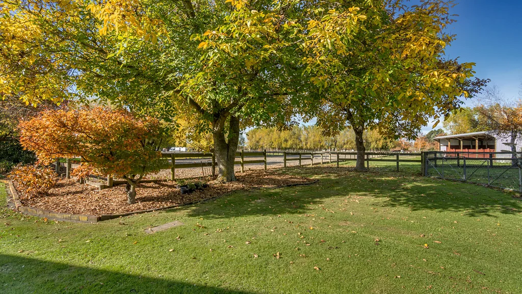 Clarkville 4Habitaciones Lifestyle Living with Equestrian Appeal