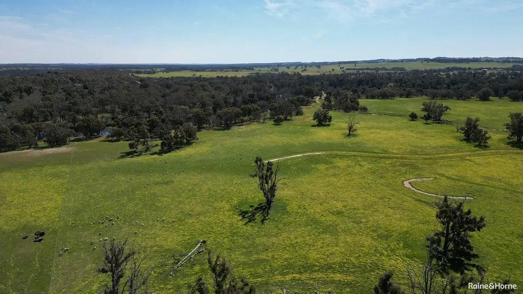 Kenmare For Sale: Charming Farmlet 124 Hectares