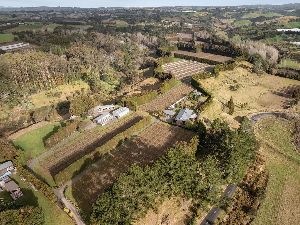 Aongatete Productive land, stunning views, endless appeal