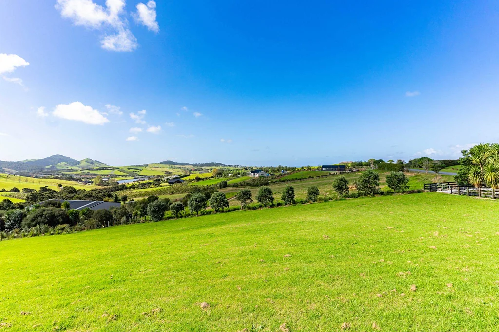 Mangawhai Barrier View Road Beauty