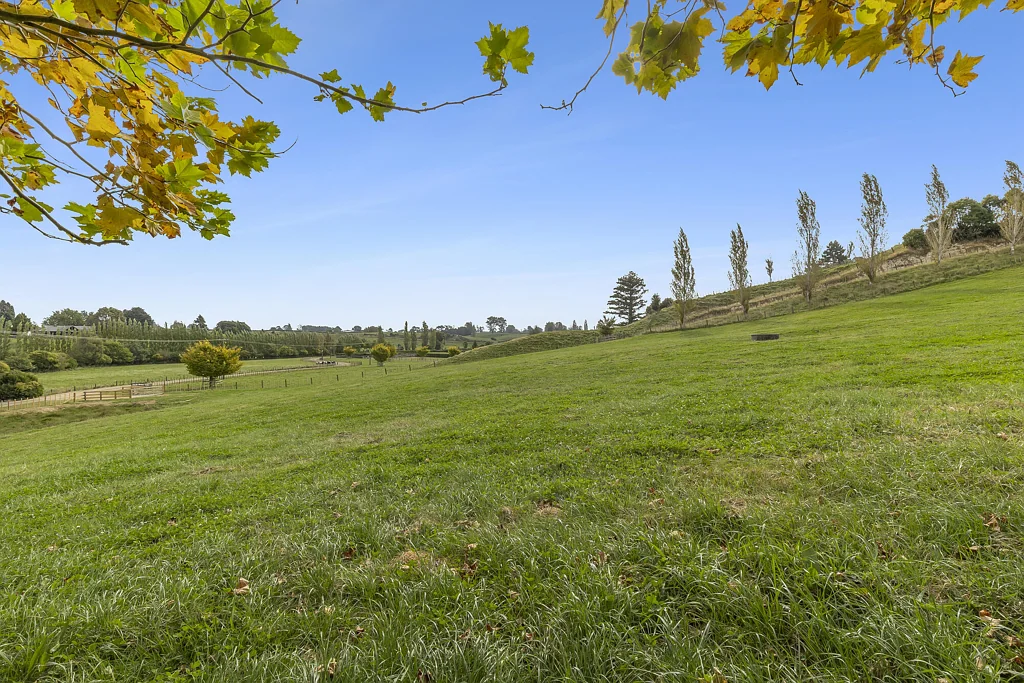 Rotoorangi Quiet No Exit Rd - Rural Views, Peace and Privacy