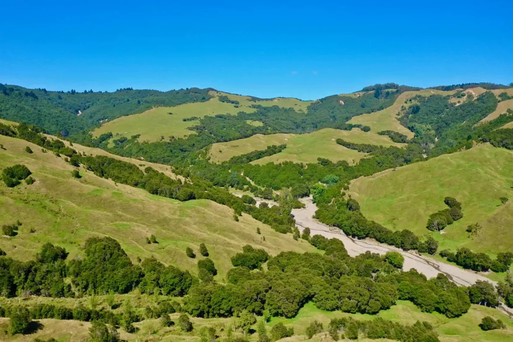 Gisborne EAST COAST LOOKING FOR A GOOD KEEN MAN (OR WOMAN)