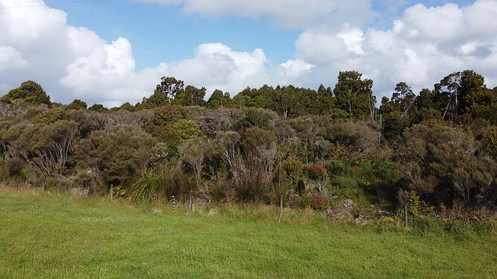 Hokitika Private Bush Retreat for Sustainable Living!