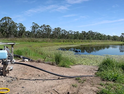 70 Grahams Road, Drinan, QLD 4671, 0房, 0浴, Lifestyle Property