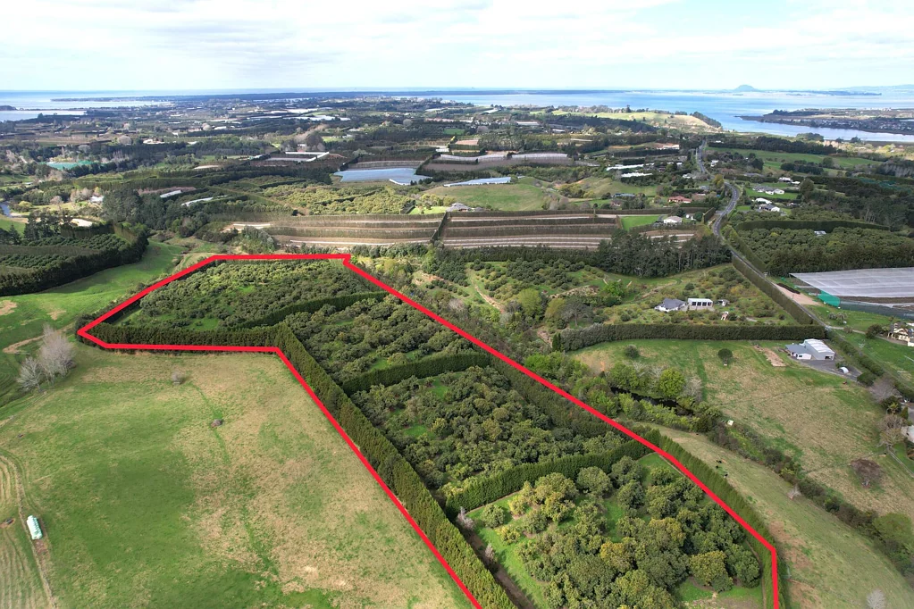 Katikati Prime Horticultural Opportunity
