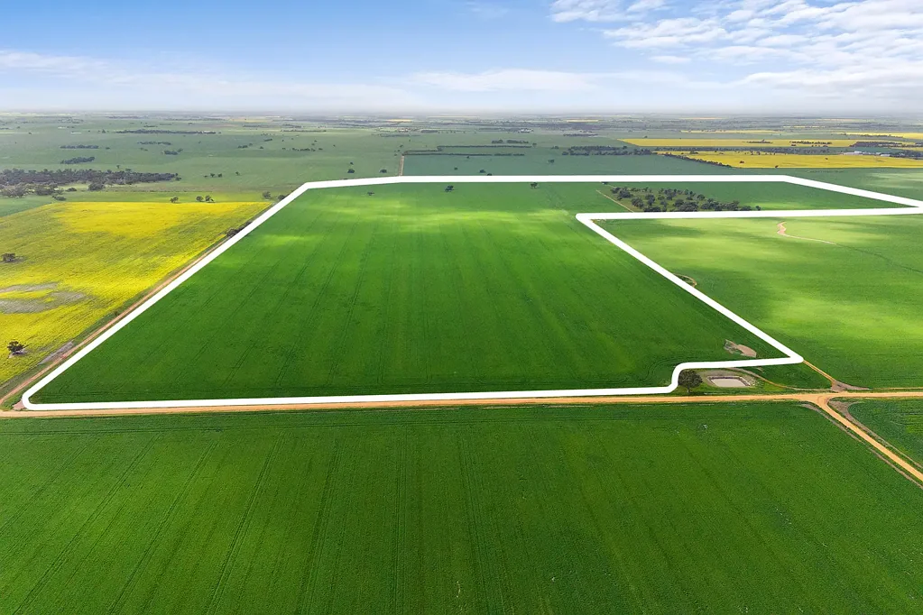 Rich Avon West  Beverly Farming Portfolio | Highly productive 772.9*cropping portfolio