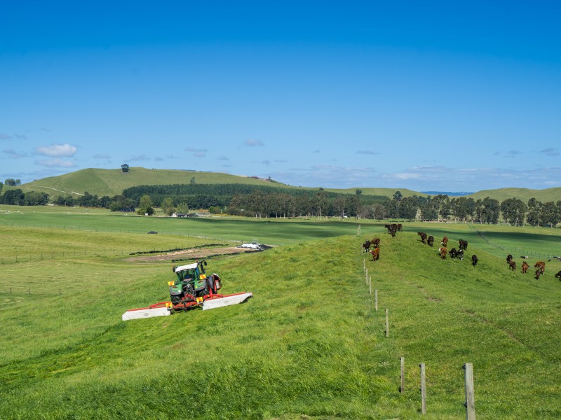 658 Tukairangi Road, Kinloch, Taupo, 4房, 0浴