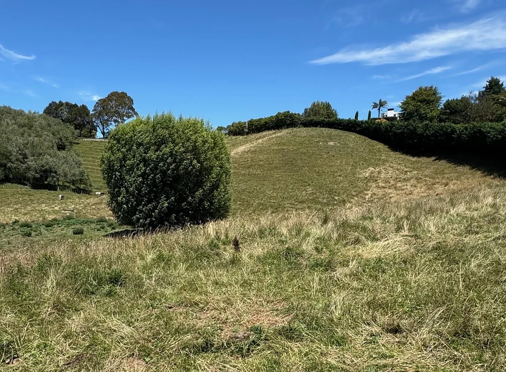 Puketapu Prime Location, Fabulous Lifestyle Section