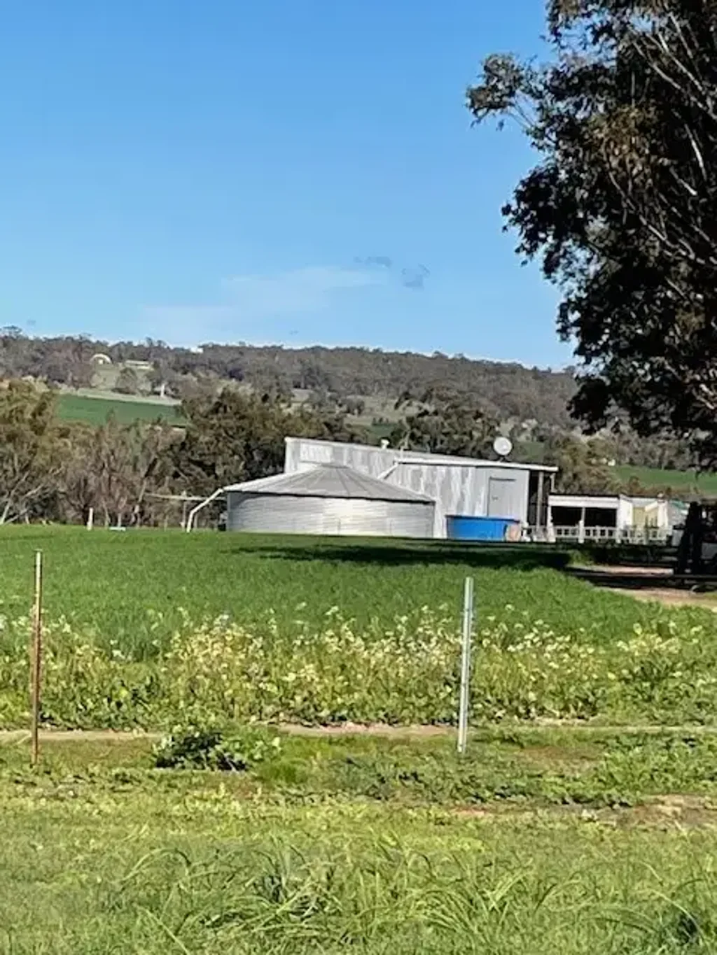 447 Qualen West Road, Gwambygine, WA 6302
