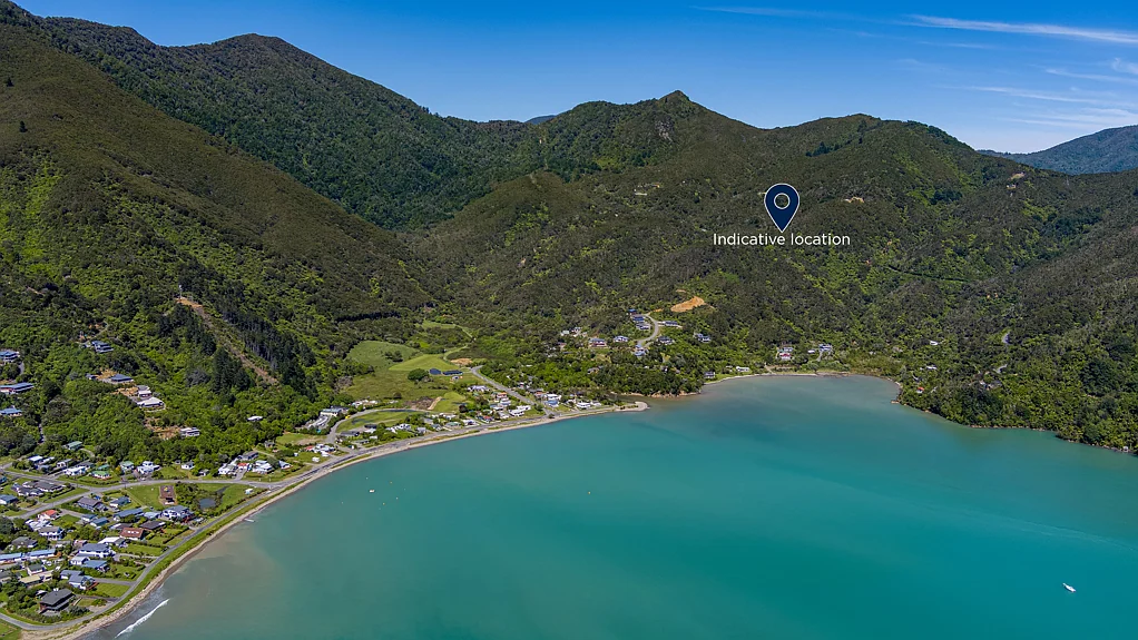 Okiwi Bay Where forest meets the sky and the bay