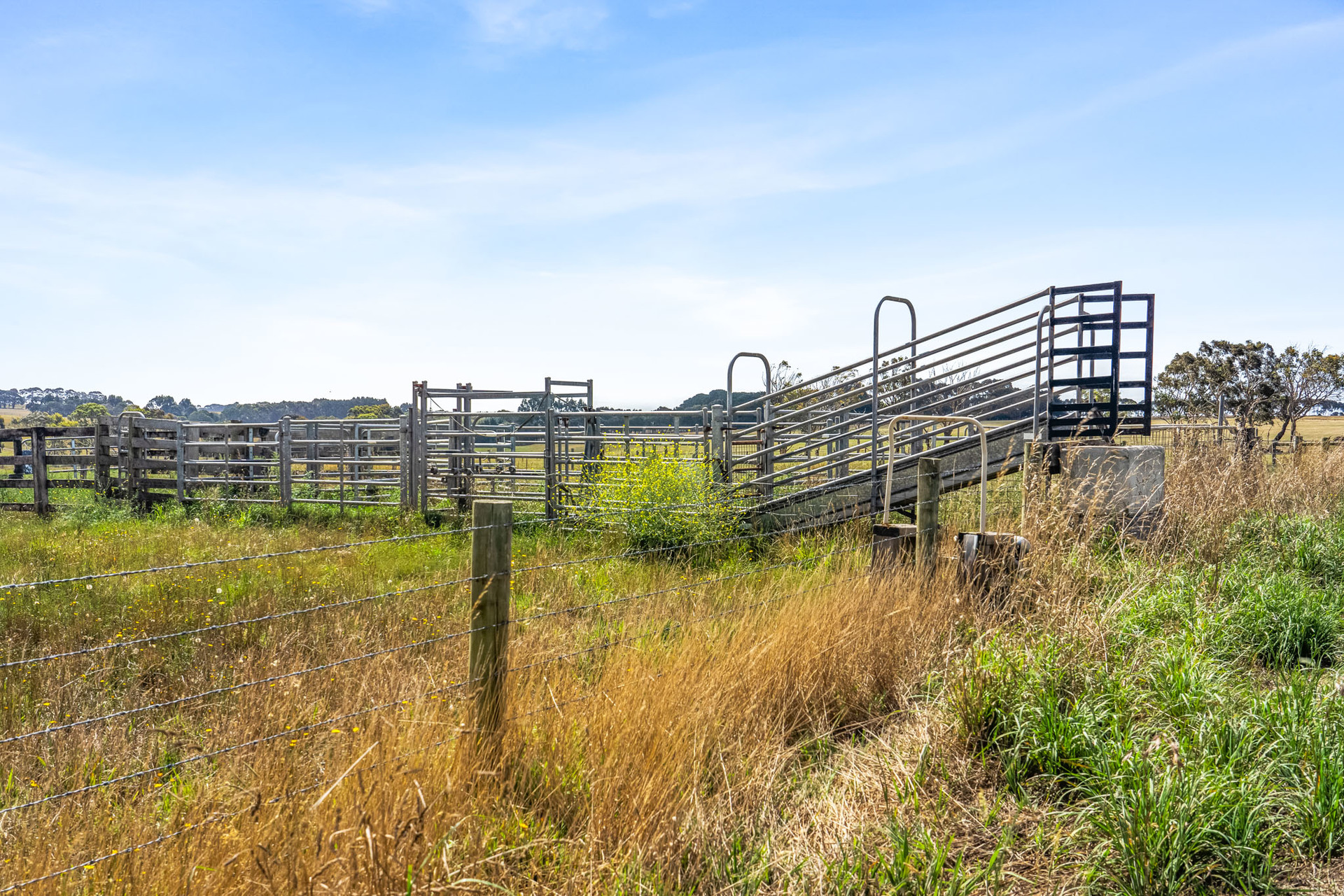 SHE-OAK HILL 151 POYNTONS RD, WILLATOOK VIC 3283, 0 rūma, 0 rūma horoi, Section