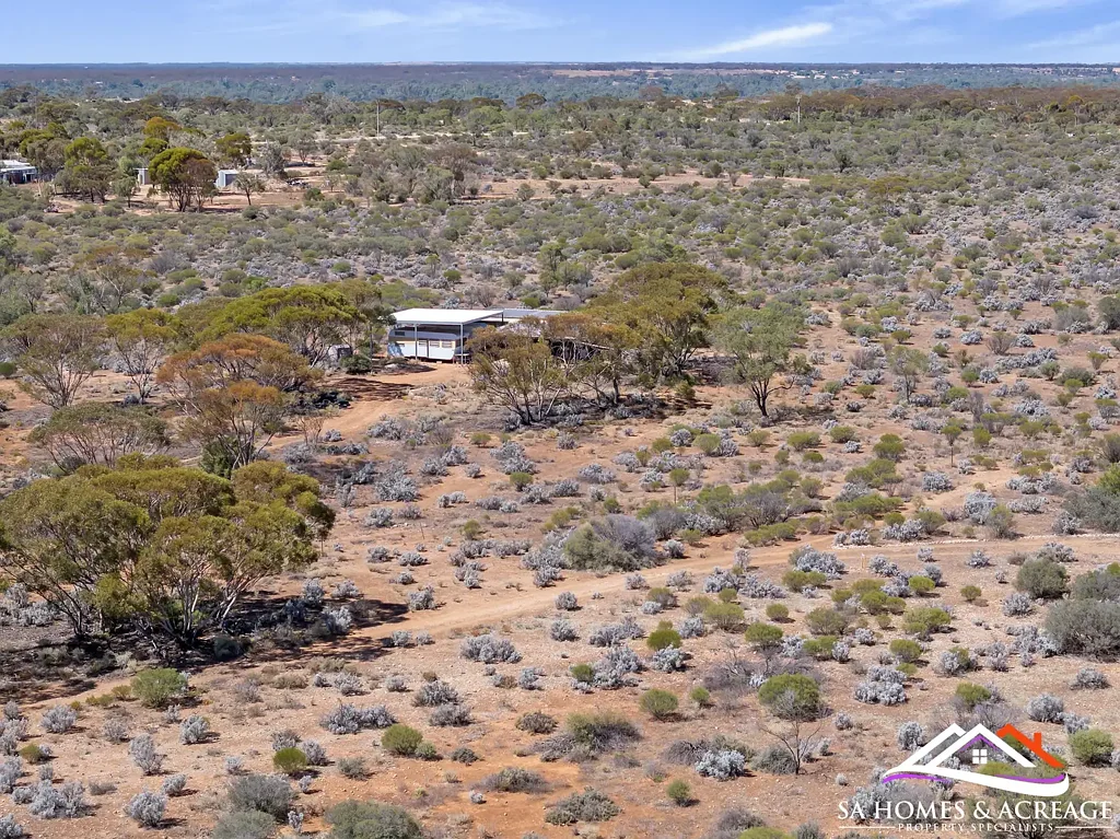 45 Rail Road, Morgan, SA 5320