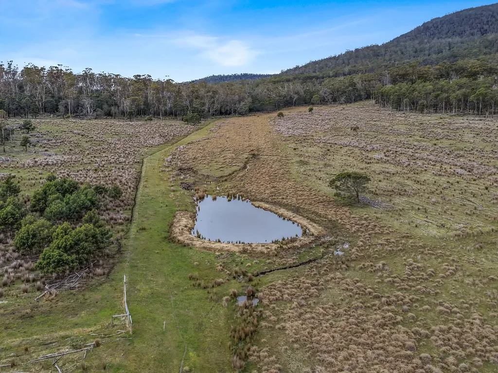 Bicheno Dam, Trees and Pasture