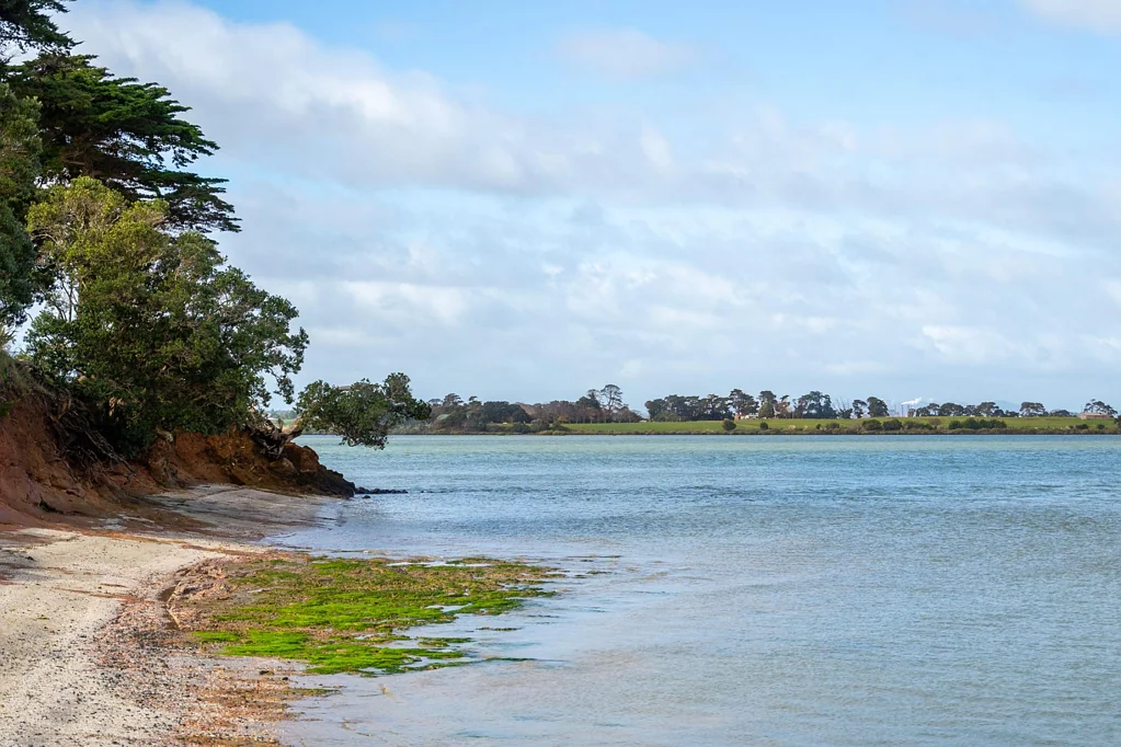 Clarks Beach  Vendor Prepared to Meet the Market on Sections