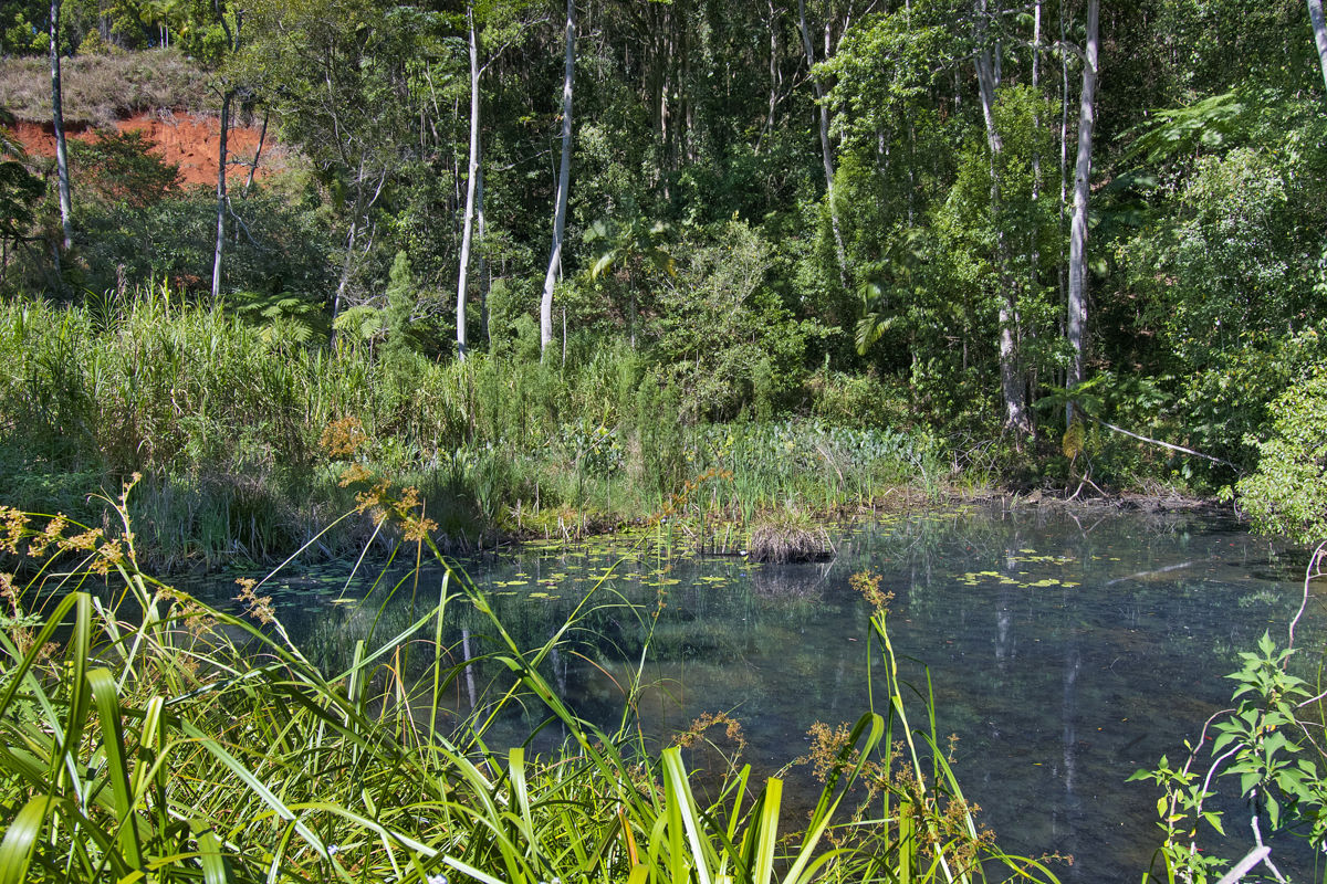 90 GELES RD, UPPER BURRINGBAR NSW 2483, 0 Bedrooms, 0 Bathrooms, House