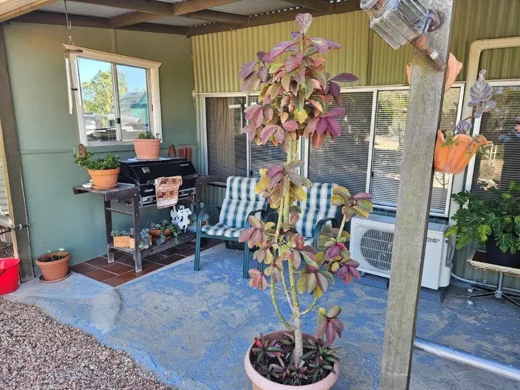 Lightning Ridge 2ห้องนอน Oasis in the Bush – Fully Equipped Off-Grid Living