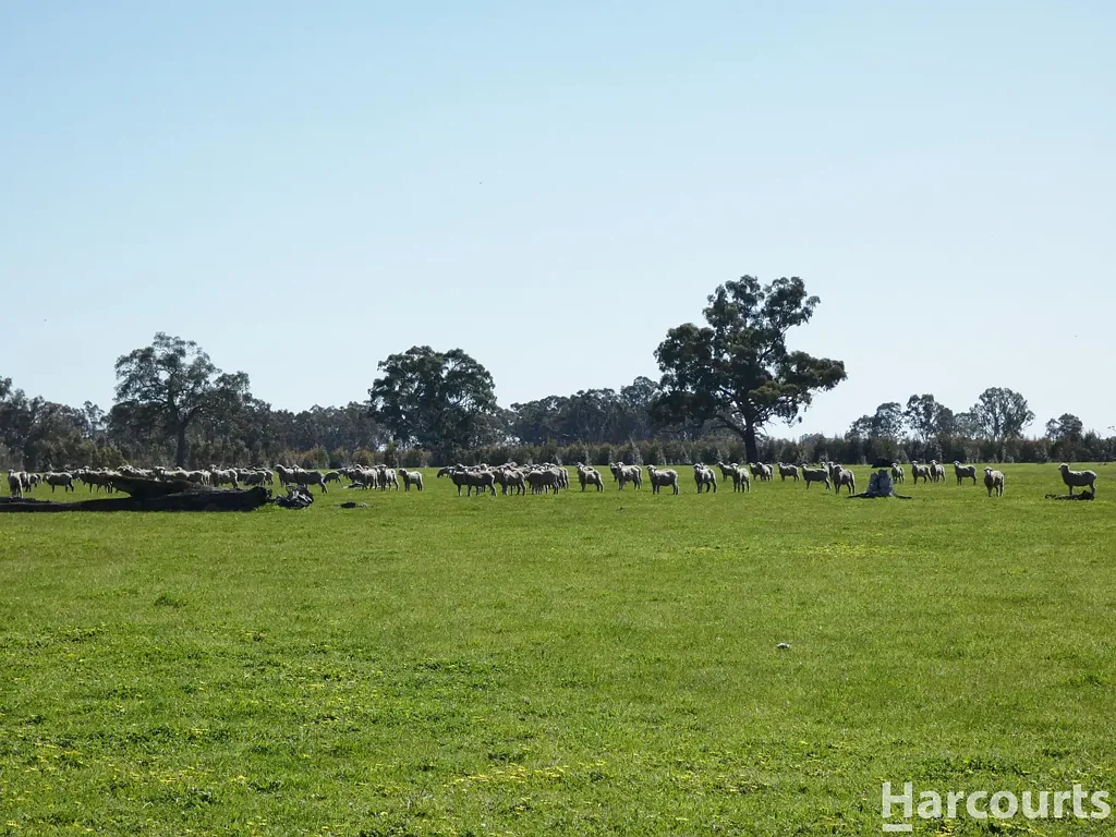 Glenisla Stunning Farming & Lifestyle Property