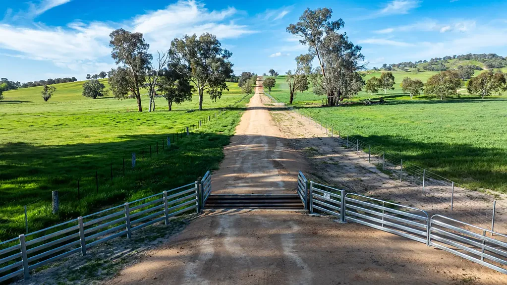 Holbrook "Brookview", A Rare Offering - Productivity, Views & Location