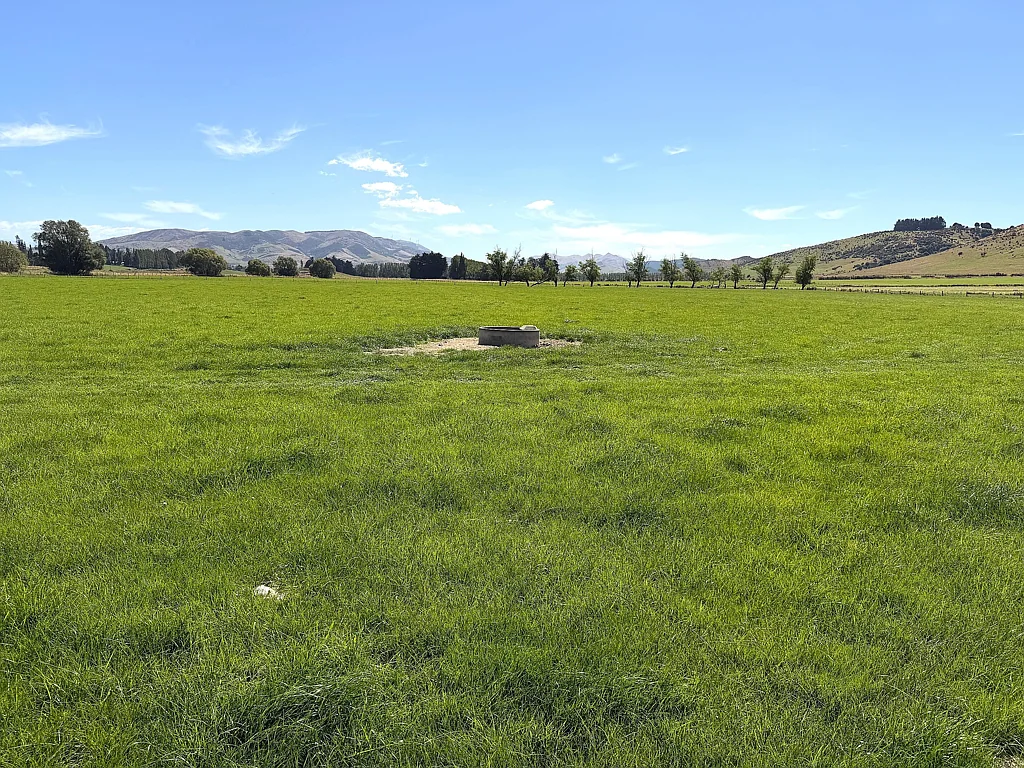 Dipton Grazing & Supplement Block