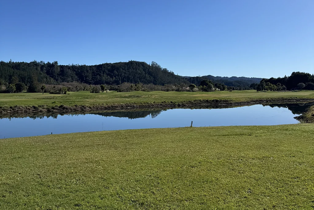 Pauanui  Lakefront Section - Vendors Want it SOLD!